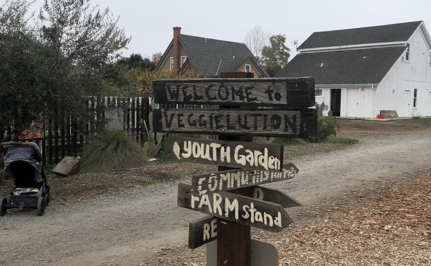 Image 1: Miki and Jon in brightly colored jackets posed with their bikes, produce boxes strapped and ready to go. Image 2: Cream and black toned rooster standing near a metal fence. Image 3: Hand-painted wooden Veggielution directional sign. 