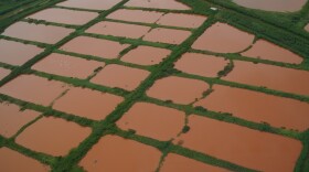 Oʻahu's North Shore farmlands are seen flooded by the second Kona Low storm. (March 21, 2026)