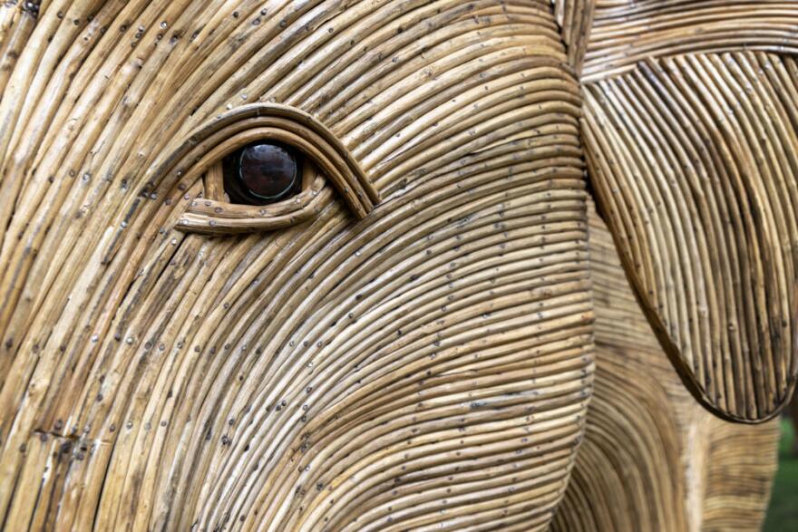 The eye of an elephant sculpture on display at an installation of 100 elephants on Commonwealth Avenue Mall in Boston. (Robin Lubbock/WBUR)
