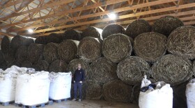Matt Willse stands in front of hemp bales.