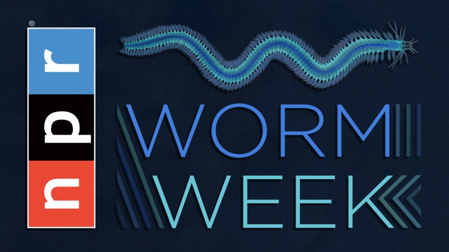 "It may be doubted whether there are many other animals which have played so important a part in the history of the world as these lowly ... creatures." That's what Charles Darwin said about earthworms. His quote applies to parasitic worms, too. This week Goats and Soda looks at the import of the lowly worm. Follow along at <a href="http://npr.org/wormweek">http://npr.org/wormweek</a>.