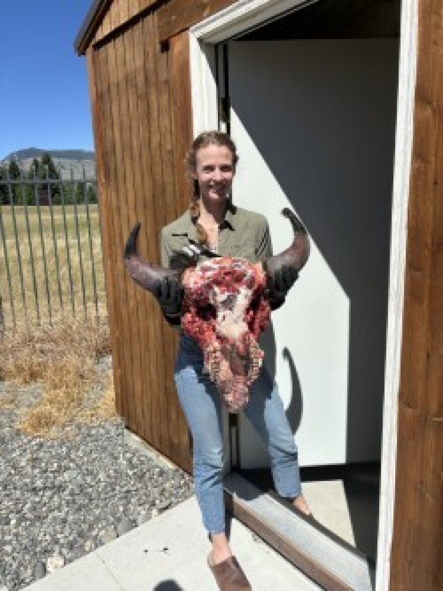A woman holds a skinned bison skull in the doorway to a shed.