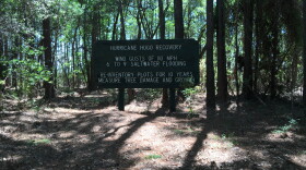 This sign, erected by Clemson's Belle W. Baruch Institute, marks a plot that was originally a research environment for trees affected by Hurricane Hugo. In October 2016 the plot was affected by Hurricane Matthew as well.