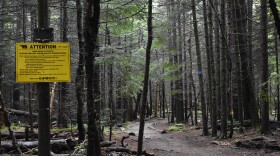 A trailhead in the Adirondacks (file)