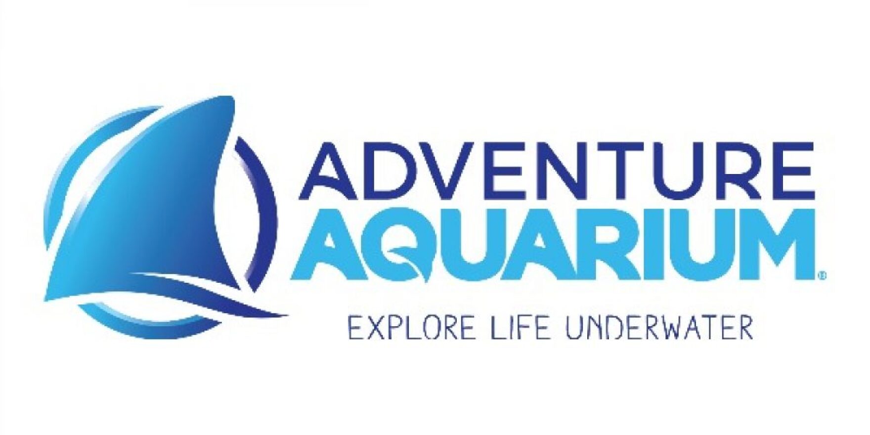 Adventure Aquarium to Reopen July 15 - ?url=http:%2F%2Fnpr Brightspot.s3.amazonaws.com%2Flegacy%2Fsites%2Fwbgo%2Ffiles%2F202007%2FAquarium