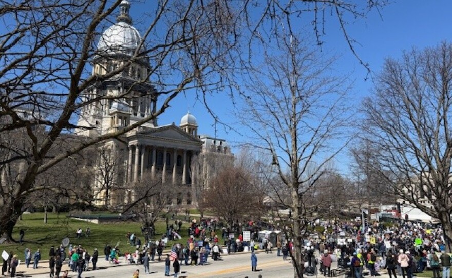 No Kings Protest on March 28, 2026 - Springfield, Illinois