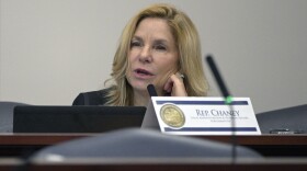 Florida Rep. Linda Chaney makes a point during a Local Administration and Veterans Affairs Subcommittee hearing in a legislative session, Thursday, Jan. 13, 2022, in Tallahassee, Fla.