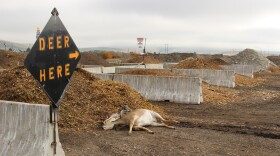 'Deer Here' sign at Montana Department of Transportation Composting Facility.