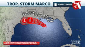 Marco Forecast Track