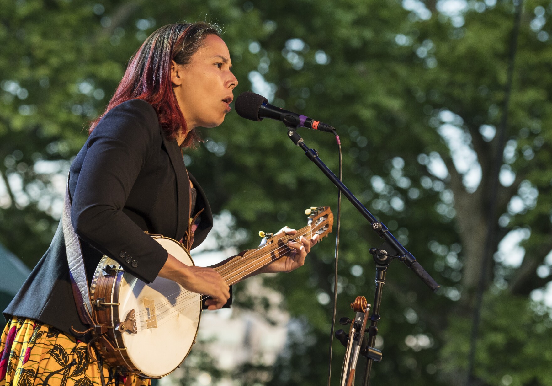 The banjo is a star of Beyoncé's new album. Turns out it has African roots