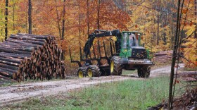 A tractor stacks jack-pine tree logs in the Huron-Manistee National Forest before they're transported to a sawmill on October 26, 2023.