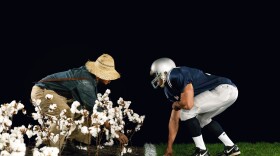Hank Willis Thomas (American, born 1976), The Cotton Bowl, from the series Strange Fruit, 2011. Chromogenic print. Image courtesy of the artist and Jack Shainman Gallery, New York. Copyright Hank Willis Thomas