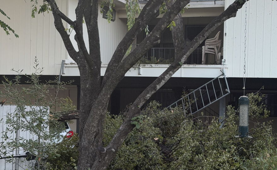 Storms causes power outages and downed trees in parts of San Antonio —Aug. 29, 2026