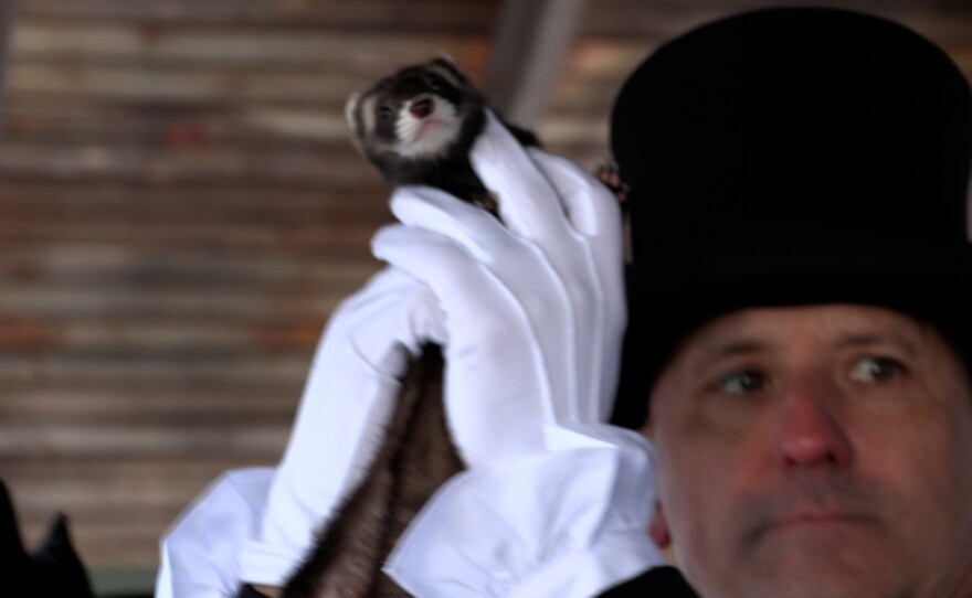 Jim Salus presented the ferret to the crowd.