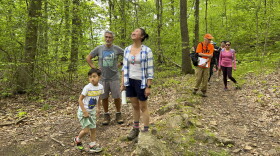 Julia Xia looks up during a hike through Sleeping Giant State Park on Sunday, May 21, 2023. Xia and husband Victor Olmedo and son Calvin Olmedo, 6, joined the Sleeping Giant Park Association for the park’s first introductory guided hike of the year. 

