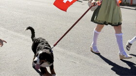 A Midway Swiss Days parade participant with a dog. The proposed application changes would allow event organizers to indicate whether they'd like to include animals in their town square festivities. 