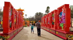 Visitors Lantern Festival