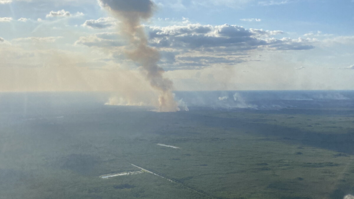 Sandy Fire containment is at 52% as an evacuation plan is rescinded - Vimarsana News