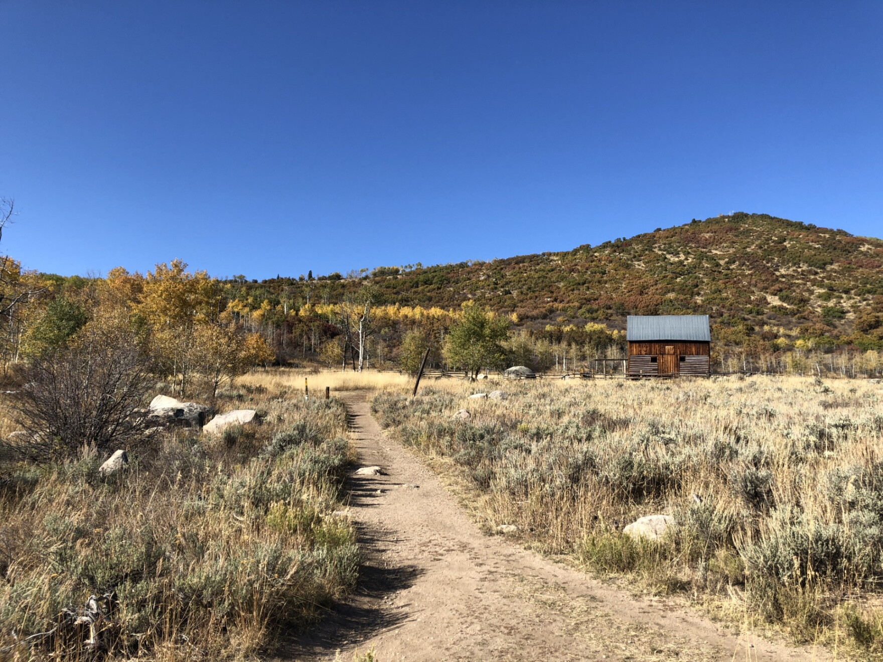 Forest Service plans to move D.C. headquarters to Salt Lake City