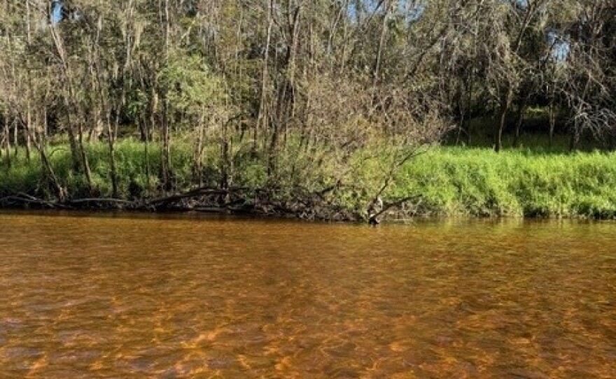 Brown-colored waters
