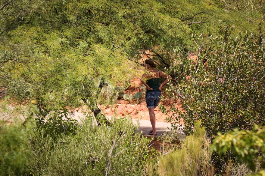 A visitor stops beneath the shade of a tree at the Red Hills Desert Garden in St. George, Aug. 20, 2026.