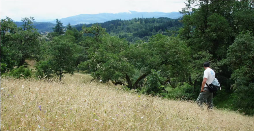 Suzanne Arlie Park is the largest park in Eugene's system, consisting of 515 acres in southeast Eugene.