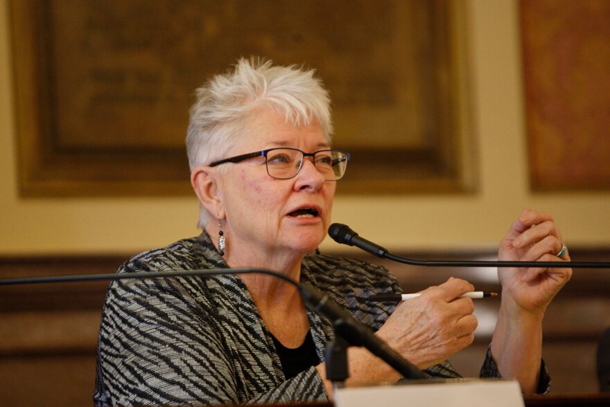 Sen. Diane Sands speaks during debate on the state Senate floor in 2017.