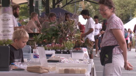 Vendors at Bloomington's Farmers' Market.