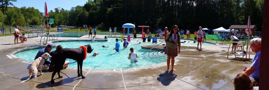 Dogs and their owners wading in the Lebanon Veterans Memorial Pool