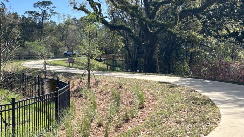 A curving path winds through Carpenter Creek Headwaters Park, guiding visitors around the restored wetlands and natural areas.