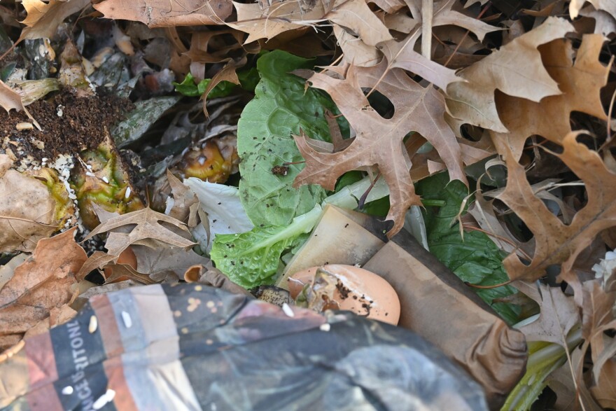 A collection of brown leaves surrounds a small deposit of lettuce leaves and other kitchen scraps.