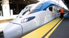 An Amtrak NextGen Acela, an all-new high speed train running between Washington, DC, and Boston, is seen at Union Station in Washington, DC (Saul Loeb/AFP via Getty)
