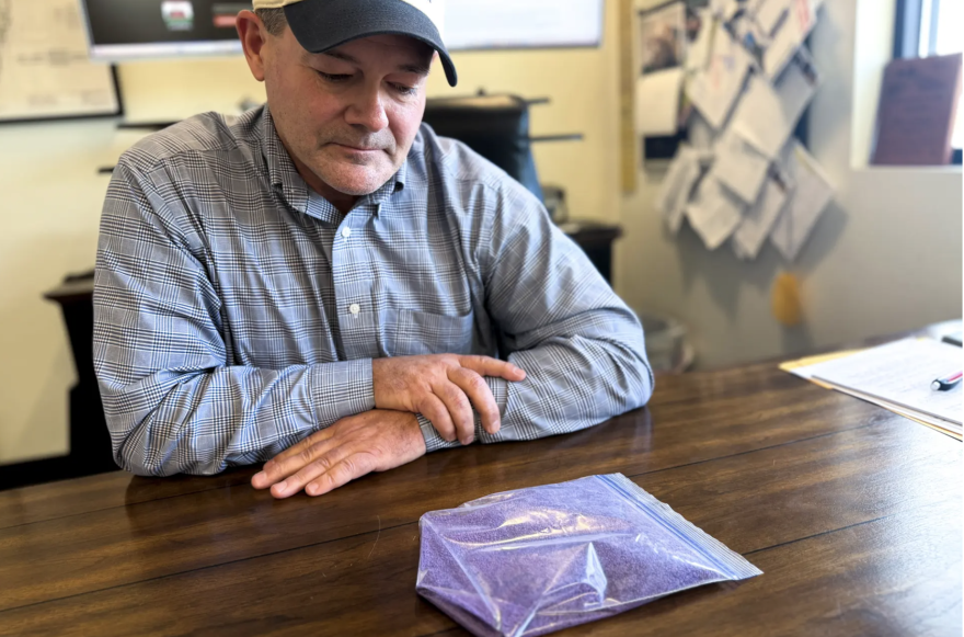 Marc Arnusch, head of Arnusch Farms in Keenesburg, Colo., sits in his office with a bag full of alfalfa seeds that have been coated with a chemical treatment that includes neonicotinoids. Feb. 4, 2026.