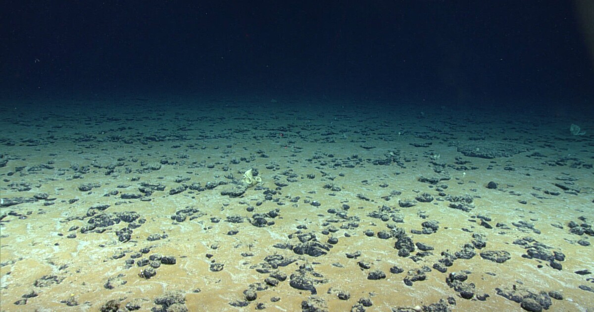 Federal government weighs seabed mineral mining off Virginia coast