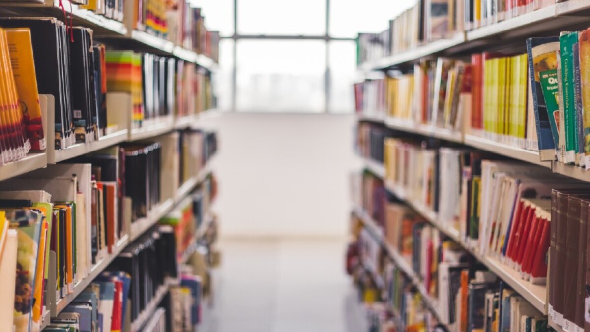 What comes after book bans? Some Florida school officials are questioning traditional libraries