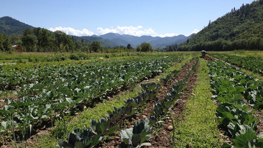 Wandering Roots Farm, one of the participants in Rogue Valley Farm to School.