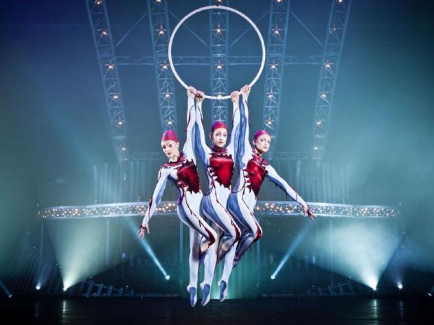 Cirque du Soleil has cancelled 15 performances in North Carolina after the passage of a controversial law in the state.