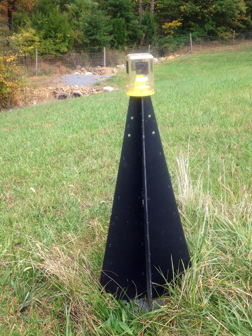 Simple traps containing stink bug pheromones can attract and kill large numbers of the bugs all at once.