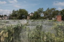 View of the Vineyards at Château Hough Vineyards and Winery in Cleveland, Ohio. Wednesday, August 19, 2026. Matthew Chasney for Ideastream Public Media.