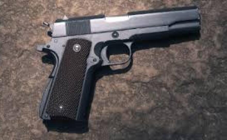 gun.jpg
