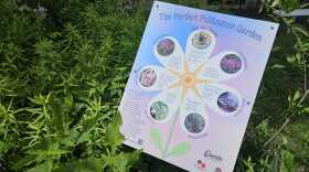 A sign at the pollinator garden behind the Oneida County Courthouse that shows the different ways the garden supports bees and other pollinators.