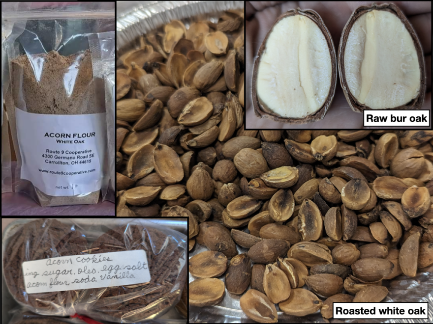 The stages of processing the nuts and the foods produced from that processing.
