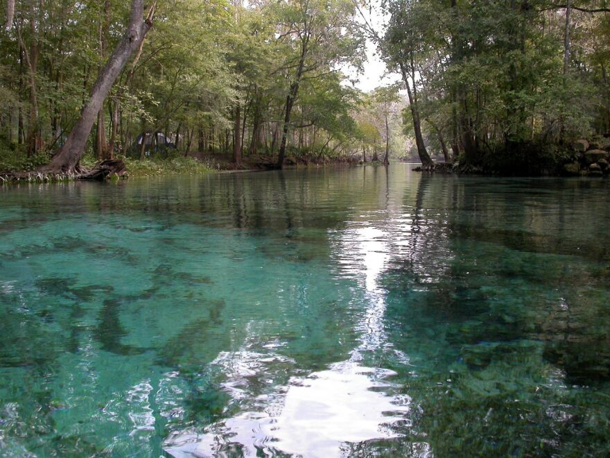 Ginnie Springs (Photo Courtesy of Merrillee Malwitz- Jipson)