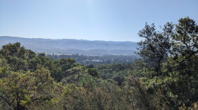 A view of mountains and trees from the top of a hill.