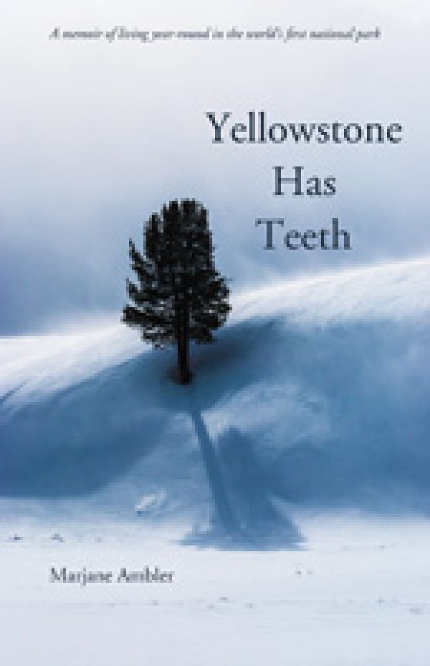 Yellowstone Has Teeth, a memoir by Marjane Ambler