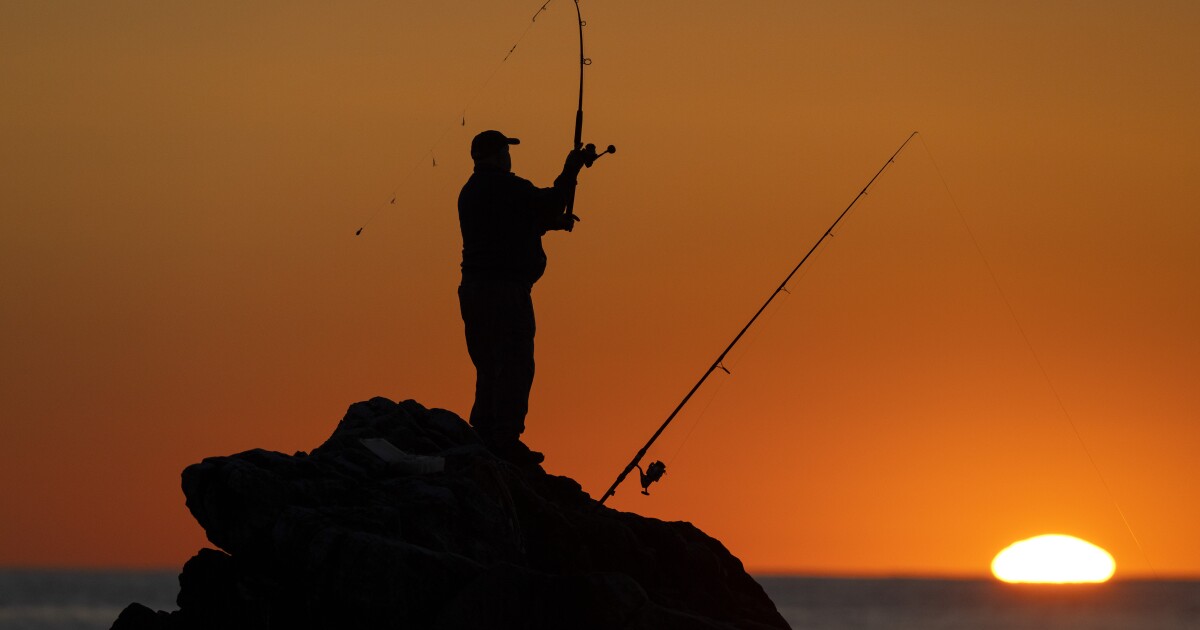 Marine Patrol seeing troubling rise in violations among striped bass anglers on Saco River