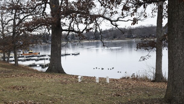The shore at Lake Bloomington with leaves fallen on the ground, several geese floating in the lake and several boat docks behind tall trees in the foreground