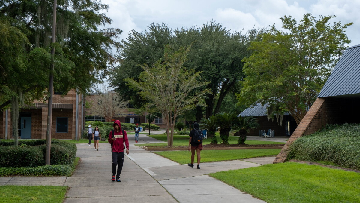 TCC's Black Male Achievers program won't have to change its name - Vimarsana News