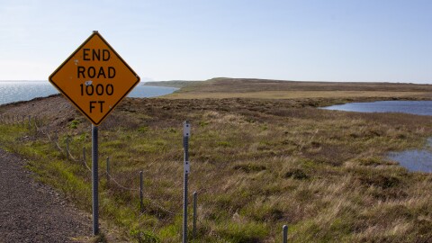 End of King Cove road summer 2024
