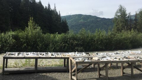 Core rock samples at the Palmer Project.